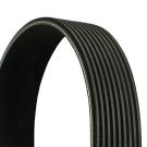 ContiTech Keilrippenriemen 9PK2871