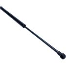 Gasfeder, Koffer-/Laderaum 12-0351