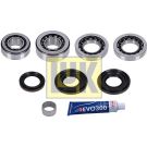 Reparatursatz, Differential 462 0216 10 Reparatursatz, Differential 462 0216 10