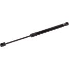 FEBI BILSTEIN 174355 Gasfeder, Koffer-/Laderaum FEBI BILSTEIN 174355 Gasfeder, Koffer-/Laderaum