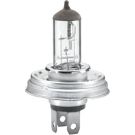Hella Glühlampe, Hauptscheinwerfer Heavy Duty 8GJ 003 133-242