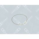 OE Germany Dichtung, Zylinderlaufbuchse 05 0111 110002