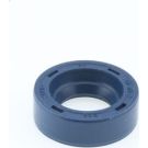 Dichtring 12010773B