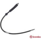 Bremsschlauch T 06 050