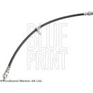Blue Print Bremsschlauch ADBP530038