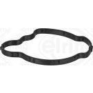 Elring Dichtung, Thermostat 916.480