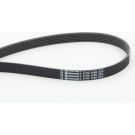 ContiTech Keilrippenriemen 6PK1795