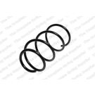 Fahrwerksfeder 4092557 Fahrwerksfeder 4092557