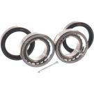 SKF Radlagersatz VKBA 1366