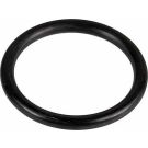 Metzger Dichtring 2430101
