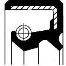 Corteco Dichtring 19026513B Corteco Dichtring 19026513B