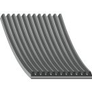 FEBI BILSTEIN 29117 Keilrippenriemen