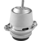 Tedgum Lagerung, Motor TED50099