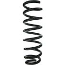 Spidan Fahrwerksfeder 87157