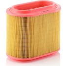 MANN-FILTER C 24 196 Luftfilter