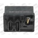 BorgWarner (BERU) Steuergerät, Glühzeit GSE150