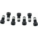 Sachs Schraubensatz, Schwungrad 1874 000 043 Sachs Schraubensatz, Schwungrad 1874 000 043