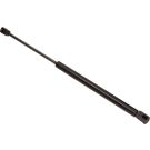 Gasfeder, Koffer-/Laderaum 12-1641 Gasfeder, Koffer-/Laderaum 12-1641
