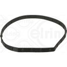 Elring Dichtung, Wasserpumpe 558.280