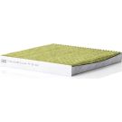 MANN-FILTER FP 22 021 Innenraumfilter FreciousPlus Aktivkohlefilter mit Polyphenol, antibakteriell, Feinstaubfilter (PM 2.5)