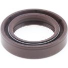 Dichtring 01027680B