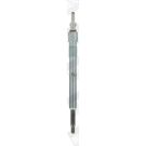 BorgWarner (BERU) Glühkerze GN055