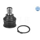 Meyle Trag-/Führungsgelenk MEYLE-ORIGINAL: True to OE 36-16 010 0034