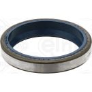 Elring Dichtring 411.701