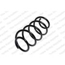 Fahrwerksfeder 4095067 Fahrwerksfeder 4095067