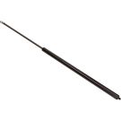 Gasfeder, Koffer-/Laderaum 12-1614 Gasfeder, Koffer-/Laderaum 12-1614