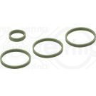 Elring Dichtungssatz, Ansaugkrümmer 310.320
