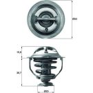 Mahle Thermostat, Kühlmittel BEHR TX 117 95D