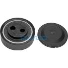 Dayco Riemenspanner, Keilrippenriemen APV2037