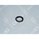 OE Germany Ventilsitzring 01 0123 900001