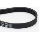 ContiTech Keilrippenriemen 5PK884