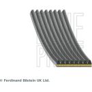 Blue Print Keilrippenriemen AD08A1055