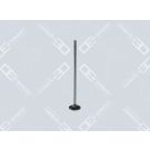 OE Germany Einlassventil 01 0520 470000