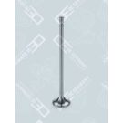OE Germany Einlassventil 06 0520 XF9502