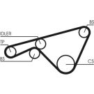ContiTech Zahnriemen CT925