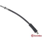 Bremsschlauch T 06 007