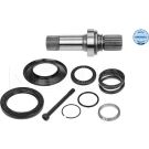 Steckwelle, Differential 100 498 0248