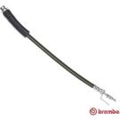 Bremsschlauch T 24 146