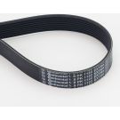 ContiTech Keilrippenriemen 8PK1122 EXTRA