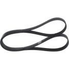 BOSCH Keilrippenriemen 1 987 946 254