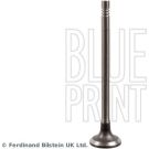 Blue Print Einlassventil ADBP610034 Blue Print Einlassventil ADBP610034