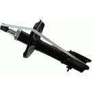 Stoßdämpfer 316 901
