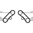 ContiTech Zahnriemen CT1074