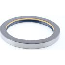 Dichtring 12001918B Dichtring 12001918B