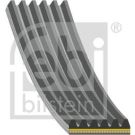 FEBI BILSTEIN 184954 Keilrippenriemen