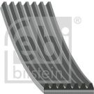 FEBI BILSTEIN 184866 Keilrippenriemen